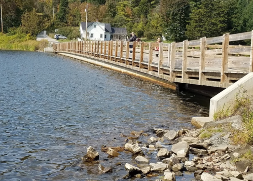 A wooden bridge extends over a calm lake, with people walking and a house visible in the background among trees.