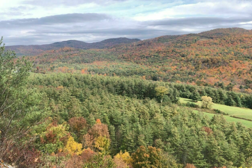A scenic view of rolling hills covered in vibrant autumn foliage and evergreen trees under a cloudy sky.