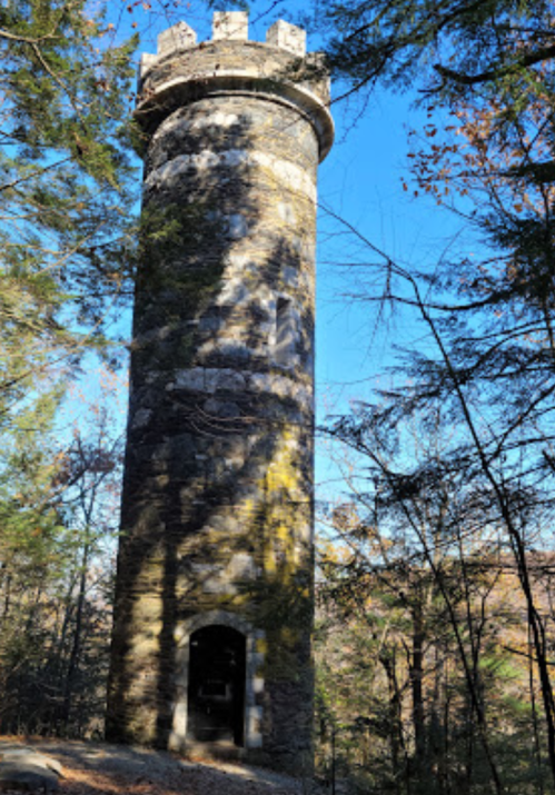 Stone tower with a castle-like design, surrounded by trees and blue sky, in a forested area.