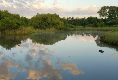 A serene landscape featuring a calm pond reflecting clouds and greenery under a soft, pastel sky.