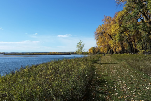 A serene riverside path lined with trees displaying autumn colors under a clear blue sky.