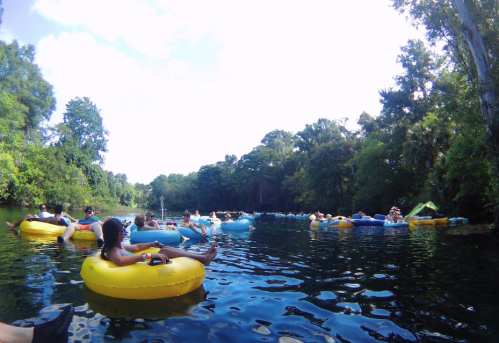 People relaxing on colorful inner tubes in a lush, green river surrounded by trees under a bright blue sky.