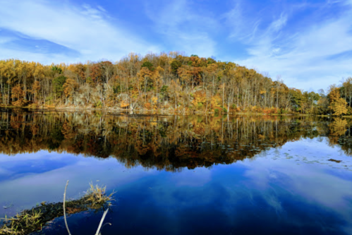 A serene lake reflecting autumn trees and a blue sky, with vibrant colors and calm water.