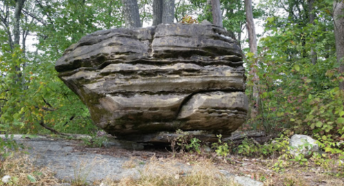 A large, flat rock with layered textures sits among green trees and shrubs in a natural setting.