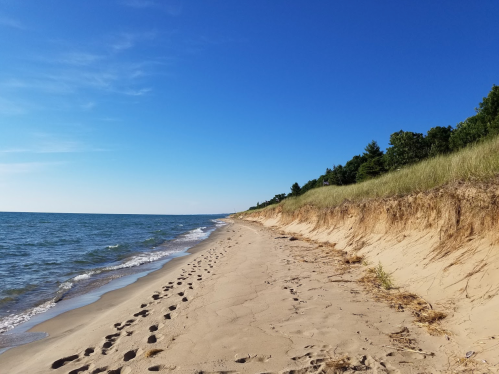 A sandy beach with footprints, gentle waves, and a clear blue sky, bordered by grassy dunes and trees.