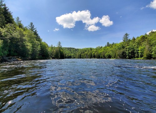 A serene river scene surrounded by lush green trees under a bright blue sky with fluffy white clouds.