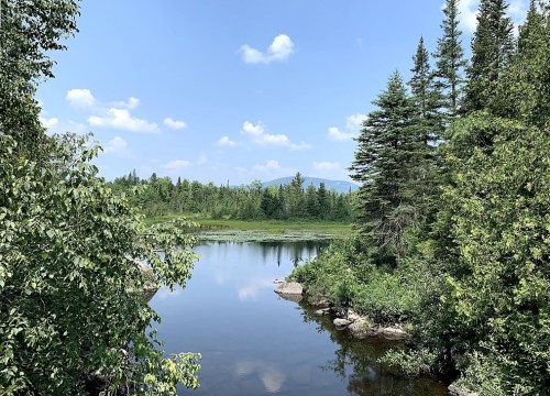 A serene landscape featuring a calm river surrounded by lush greenery and distant mountains under a clear blue sky.