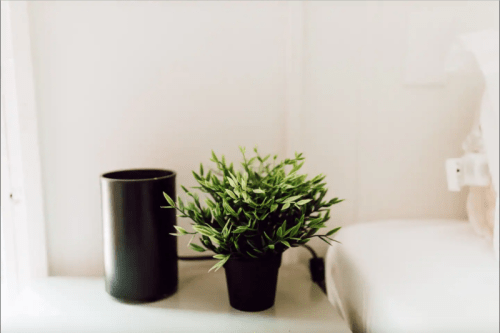 A small potted plant next to a black cylindrical vase on a light-colored surface.