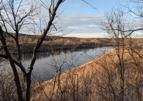A serene river view surrounded by bare trees and grassy banks under a clear sky.