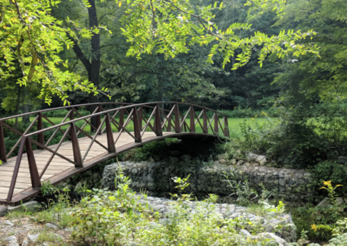 A wooden bridge arches over a small stream, surrounded by lush greenery and trees in a serene park setting.
