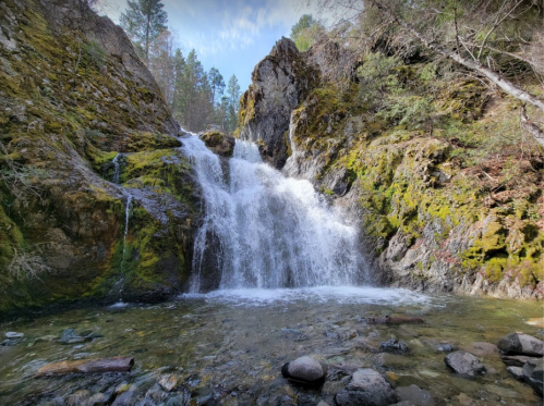 A serene waterfall cascades over moss-covered rocks, surrounded by lush greenery and a clear stream below.