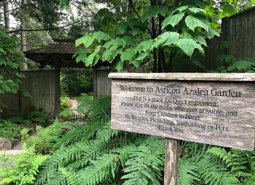 Sign at the entrance of Asticou Azalea Garden, surrounded by lush greenery and pathways for visitors.