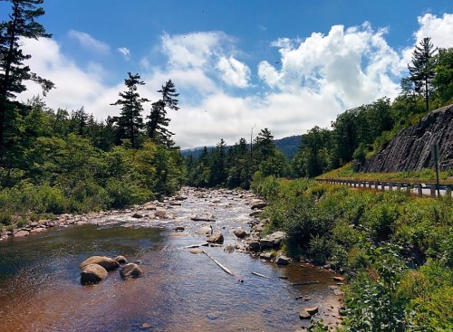 A serene river flows through a lush landscape, flanked by trees and a rocky hillside under a bright blue sky.