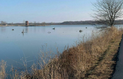 A calm lake reflects the sky, with dry grass along the shore and a distant structure visible on the water.