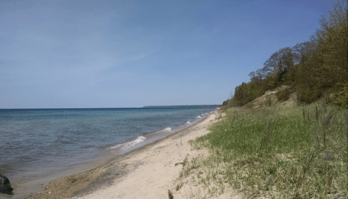 A serene beach scene with gentle waves, sandy shore, and lush greenery under a clear blue sky.