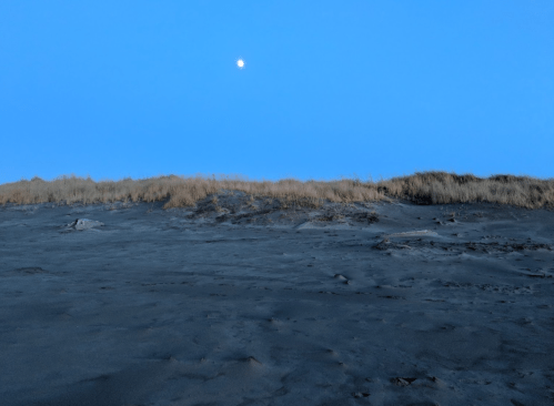 A sandy dune under a clear blue sky with a full moon visible above the horizon.