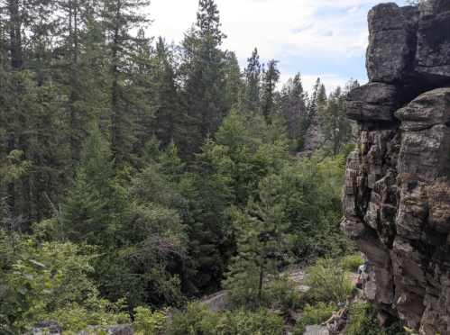 A rocky cliffside overlooks a dense forest of tall trees under a partly cloudy sky.