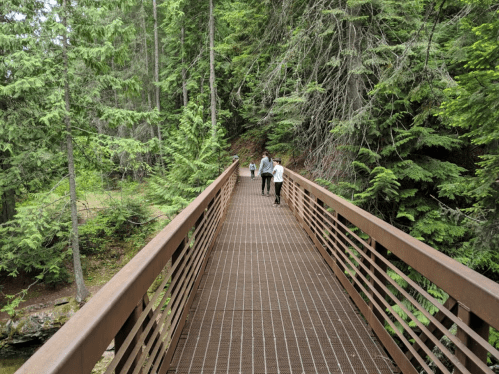 Two people walk on a metal bridge surrounded by tall green trees in a forested area.