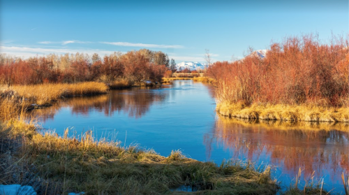 A serene river flows through a landscape of golden grasses and vibrant red shrubs, with mountains in the background.