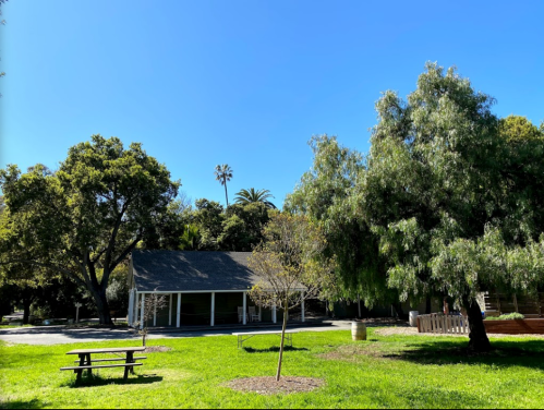 A sunny park scene featuring a picnic table, a small building, and lush green trees under a clear blue sky.