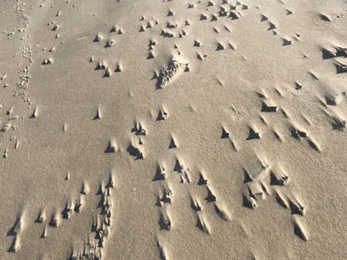 Close-up of textured sand with small, sharp peaks and valleys, creating a unique pattern on the beach.