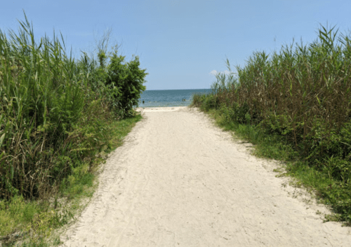 A sandy path leads to a beach, framed by tall grass and greenery on either side, with the ocean in the distance.