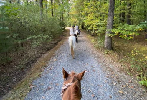 Two riders on horseback trail through a wooded path, seen from the perspective of the horse in the foreground.