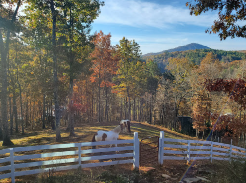 A scenic view of a wooded area with autumn foliage and two horses near a white fence, set against a mountain backdrop.
