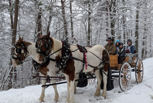 A horse-drawn carriage in the snow, with a driver and three children bundled up in winter clothing.