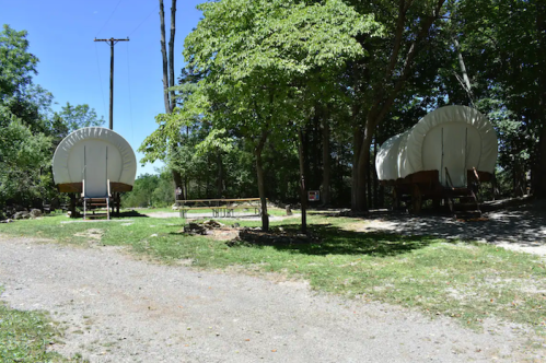 Two covered wagons on a grassy area, surrounded by trees and power lines, with a gravel path in the foreground.