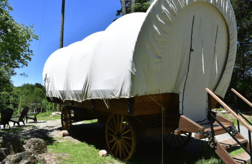 A covered wagon on wheels, parked on a grassy area with trees and a clear blue sky in the background.