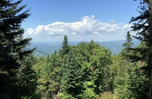 A scenic view of lush green trees and distant mountains under a blue sky with fluffy white clouds.