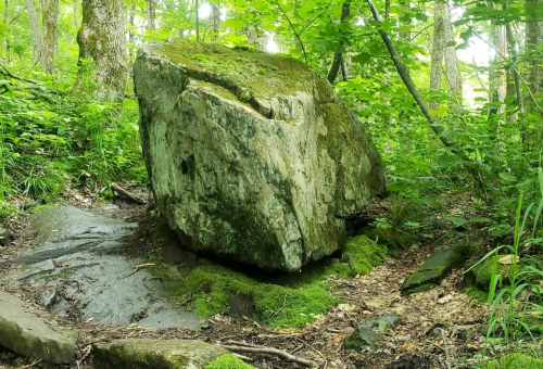 A large moss-covered rock sits beside a forest trail, surrounded by green foliage and trees.