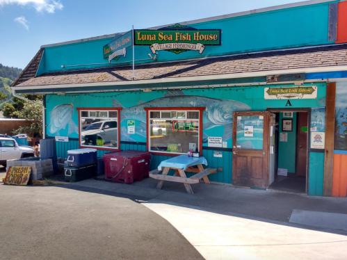 Colorful exterior of Luna Sea Fish House with a picnic table outside and signs for fresh seafood.
