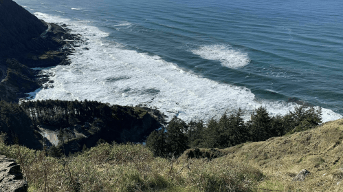 Aerial view of a rugged coastline with waves crashing against rocks, surrounded by lush greenery and a clear blue sky.