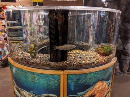 A circular aquarium with rocks and plants, featuring a fish swimming inside, with children visible in the background.