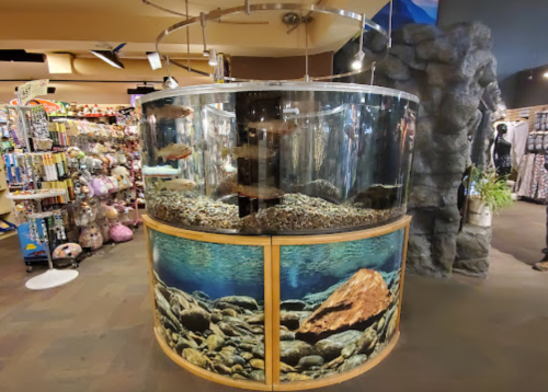 A large cylindrical aquarium filled with fish and rocks, surrounded by a retail store filled with various items.