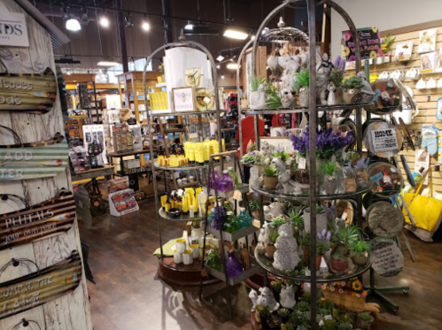 A vibrant store display featuring decorative items, plants, and home goods on shelves and tables.