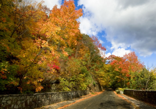 A scenic road lined with vibrant autumn foliage and a cloudy sky above.