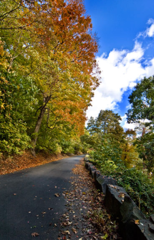A winding road surrounded by vibrant autumn trees and a blue sky with scattered clouds.