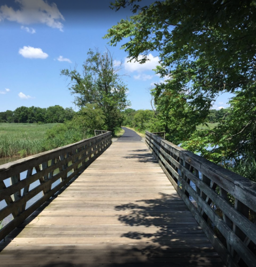 A wooden bridge leads through a lush green landscape under a clear blue sky.