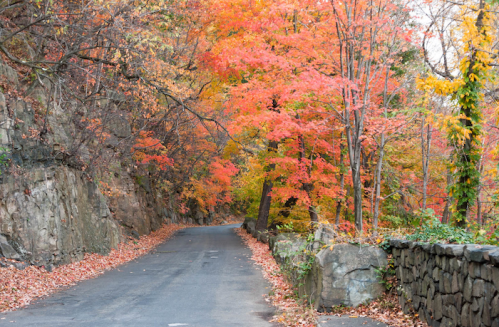 A winding road surrounded by vibrant autumn trees with red and orange leaves, alongside a stone wall.