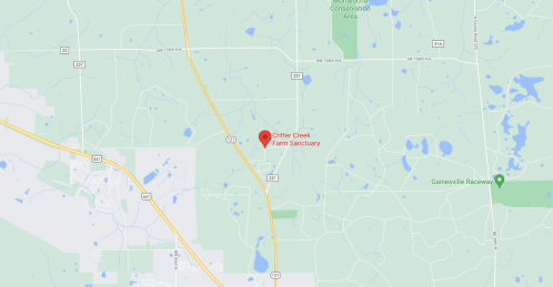 Map showing the location of Critter Creek Farm Sanctuary near Gainesville, Florida, with nearby roads and landmarks.