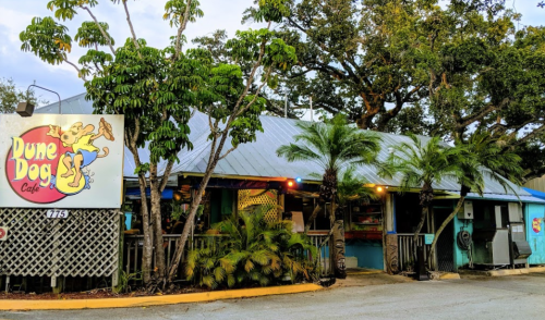 A colorful cafe with a sign reading "Dune Dog Cafe," surrounded by palm trees and greenery.