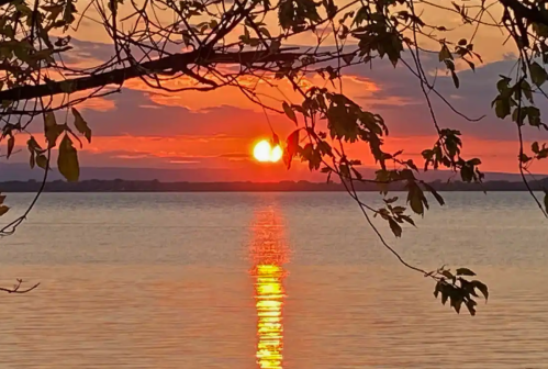 A vibrant sunset over calm water, framed by tree branches, with reflections shimmering on the surface.