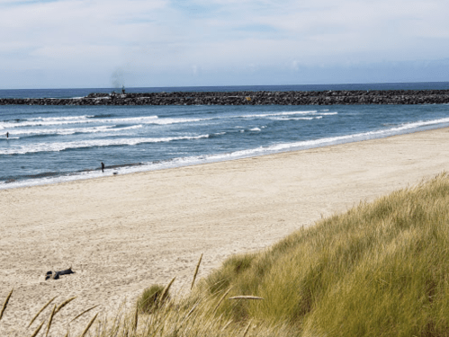 A sandy beach with gentle waves, a rocky jetty in the distance, and grassy dunes in the foreground under a clear sky.