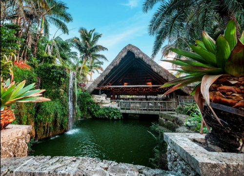 Tropical resort with a thatched roof, waterfall, and lush greenery surrounding a serene pond.