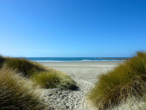 A sandy beach with gentle waves, framed by tall grass under a clear blue sky.