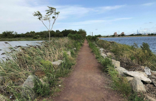 A dirt path lined with rocks and tall grass, leading between a pond and a river under a blue sky.