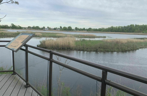 A scenic view of a calm waterway with grassy islands, featuring a railing and an informational sign in the foreground.